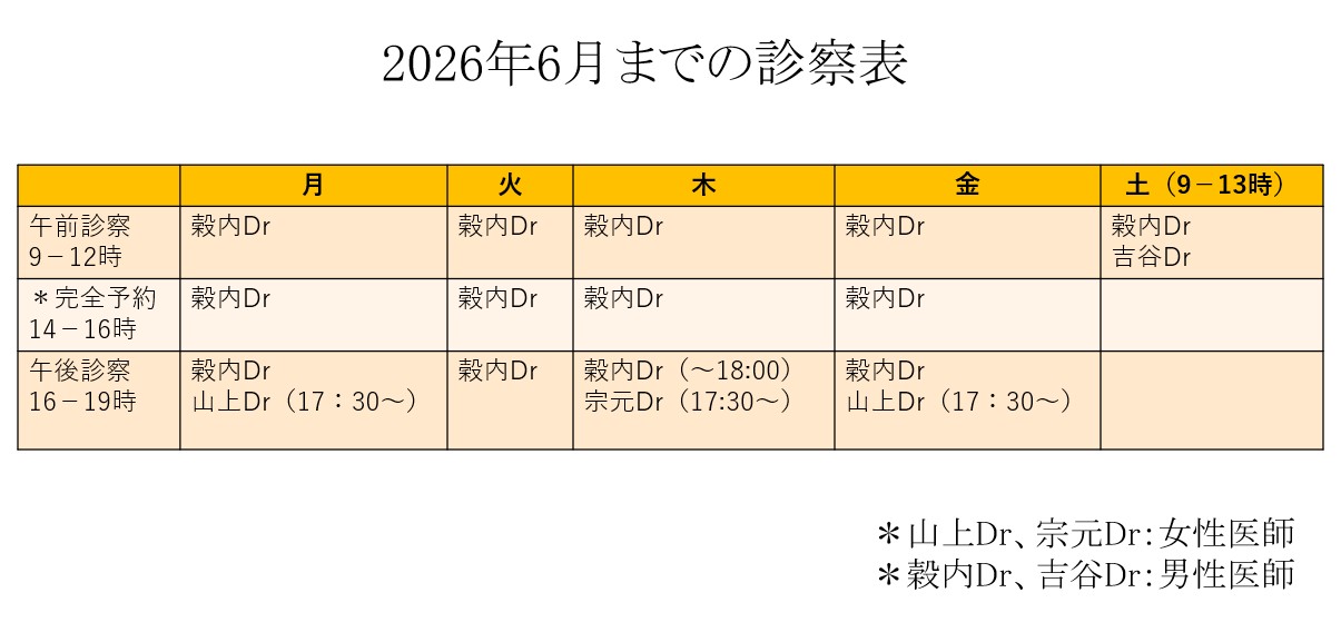 6月までの診察表