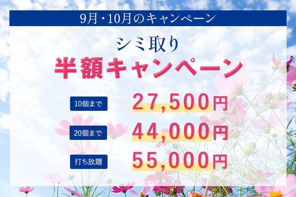 キャンペーン