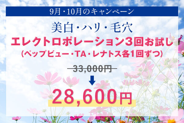 キャンペーン