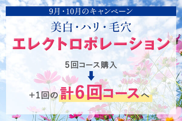 キャンペーン