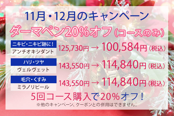 11月・12月のキャンペーン