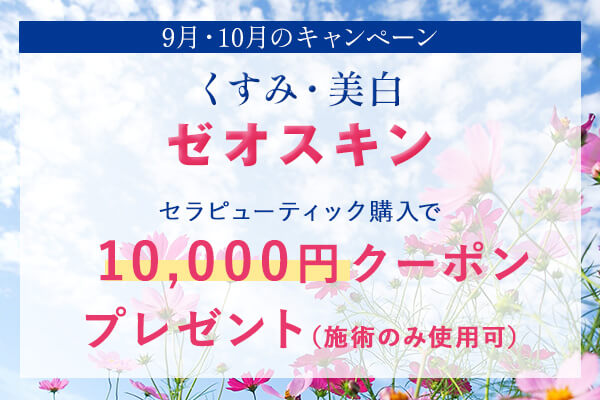 キャンペーン