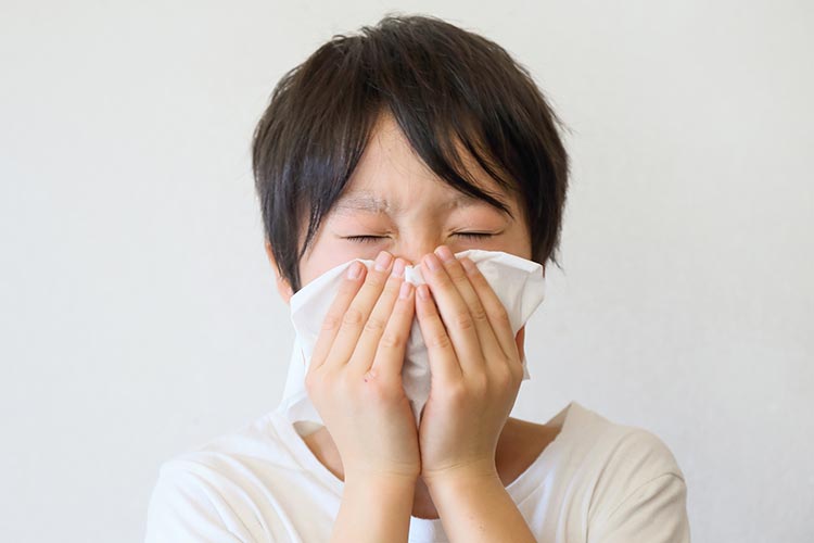 アレルギー科画像